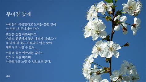 봄 의 시